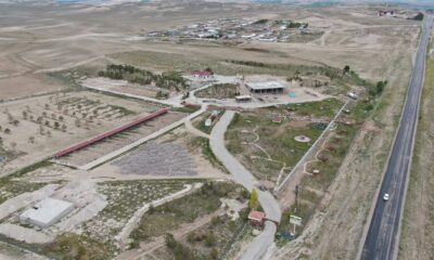 ‘Anadolu Aslanı’ bu çiftlikte korunacak