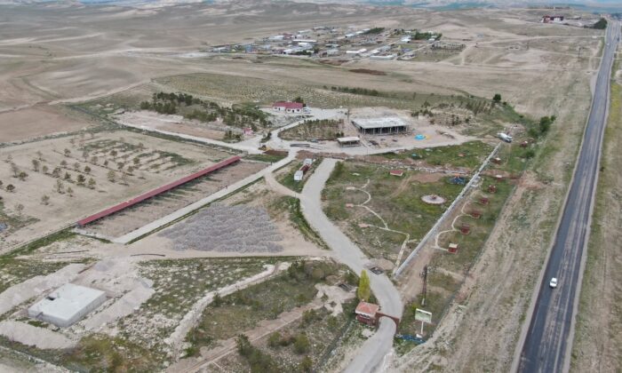 ‘Anadolu Aslanı’ bu çiftlikte korunacak