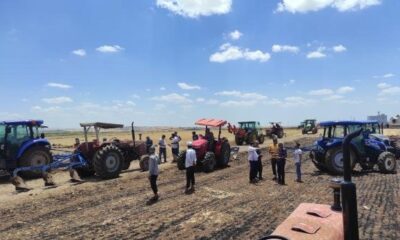 Anız yangını korkuttu