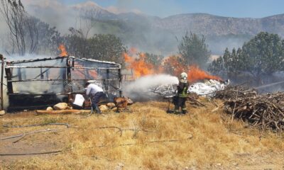 Anız yangınında 9 koyun ve 10 tavuk telef oldu