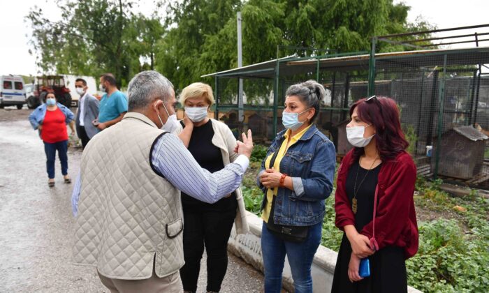 Ankara’da hayvanseverler ve belediye arasında iş birliği