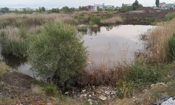 Ankara’da tabelaya çarpan otomobil dereye uçtu: 3 ölü 1 yaralı