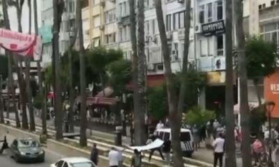 Antalya’da 20 metre uzunluğunda palmiye ağacına çıkan kedi vatandaşların açtığı brandaya düştü