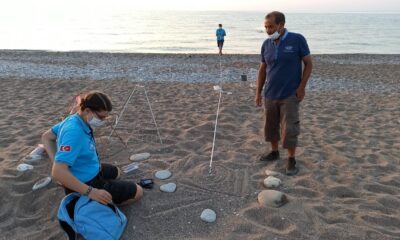 Antalya’da 2020 yılında 4 bin 853 yuvadan 204 bin 591 yavru caretta denizle buluşturuldu