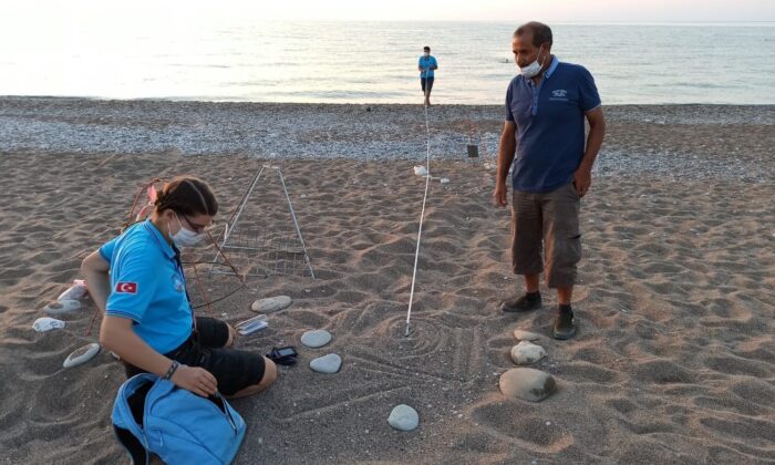Antalya’da 2020 yılında 4 bin 853 yuvadan 204 bin 591 yavru caretta denizle buluşturuldu