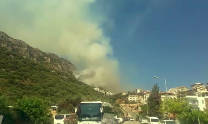 Antalya’da 3 mahallede çıkan yangında 55 dönüm alan küle döndü