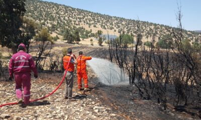 Antalya’da arazi yangınında 60 dekar ekili alan zarar gördü