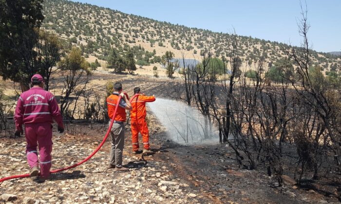 Antalya’da arazi yangınında 60 dekar ekili alan zarar gördü
