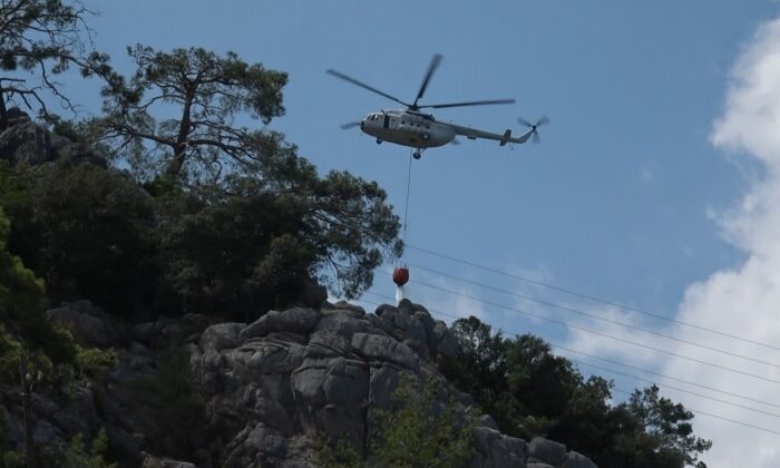 Antalya’da çıkan orman yangınında 1 dekarlık alan zarar gördü