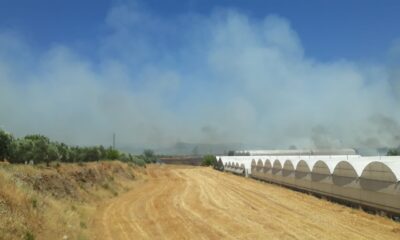 Antalya’da yangın