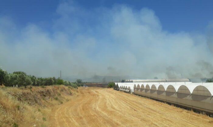 Antalya’da yangın