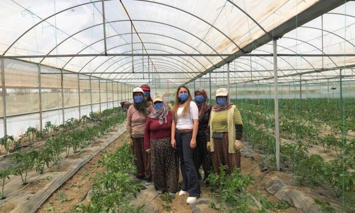 Antalya’nın yaylalarında örtü altı üretim artıyor