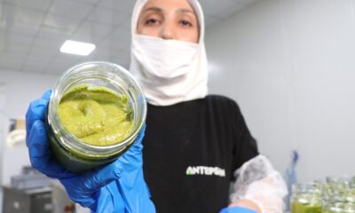 Antep Fıstığının katma değerleri artıyor