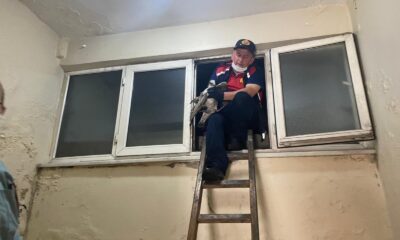 Apartman boşluğuna düşen yaralın martının imdadına itfaiye ekipleri koştu