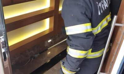 Apartmanda yakalanan yılan doğal ortamına bırakıldı