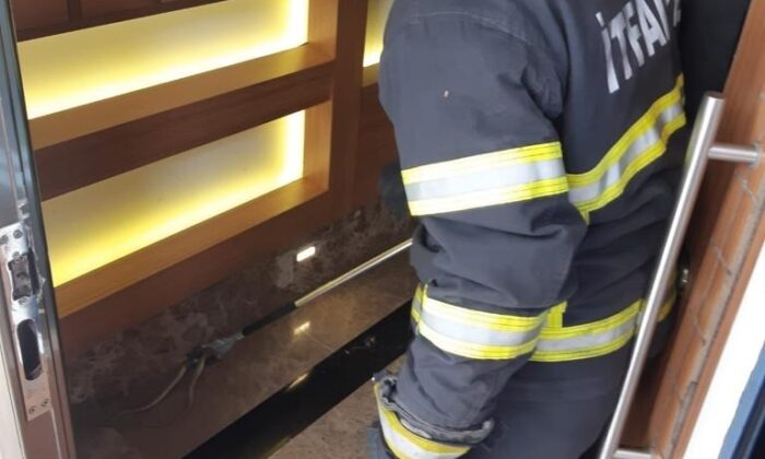 Apartmanda yakalanan yılan doğal ortamına bırakıldı