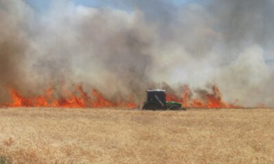 Araban’da 220 dönüm buğday tarlası yandı