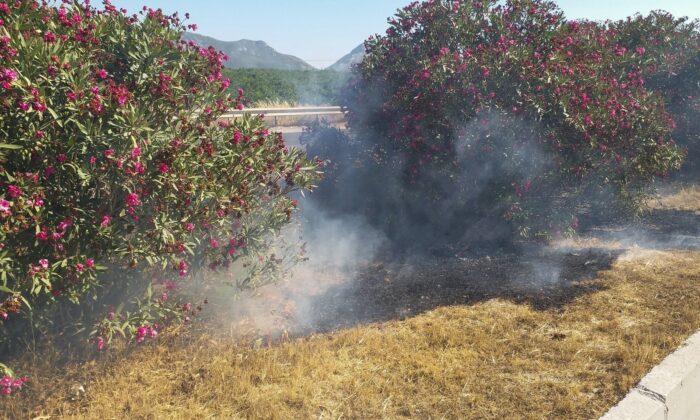 Araçlardan atılan izmaritler yangına sebep oluyor