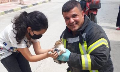 Araçta mahsur kalan yavru kedi kurtarıldı