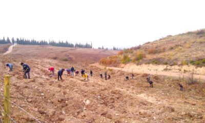 Aras Kargo’dan fidan seferberliği