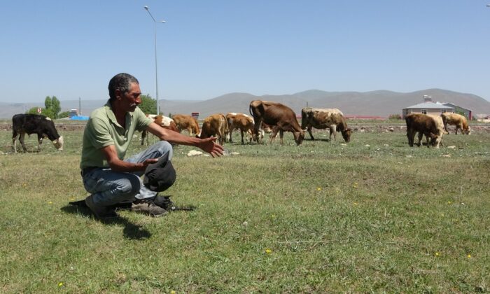 Ardahan Ziraat Odası Başkanı Sural: “Kuraklık nedeniyle şap hastalığı ile karşı karşıyayız”