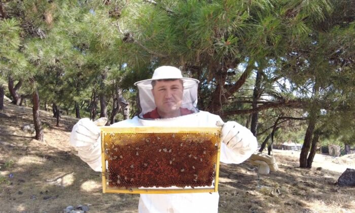 Arıcılık sektörünü kuraklık vurdu