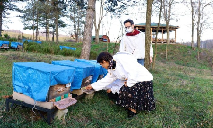 Arıcılık yatırımları destekleniyor