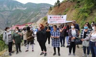 Artvin’de hayvan severler sokak hayvanlarının sesi oldu