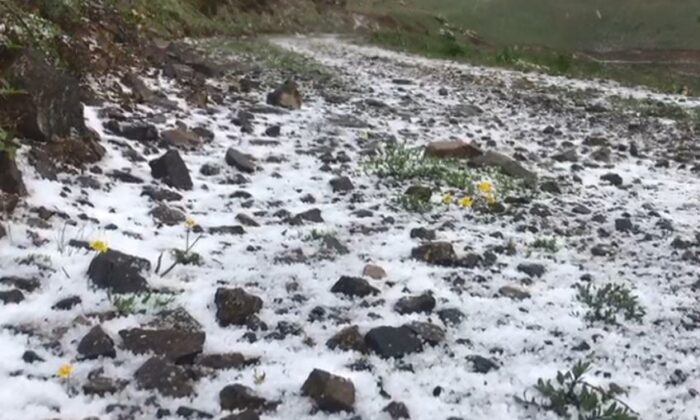 Artvin’in dağları Haziran ayında yeniden beyaza büründü