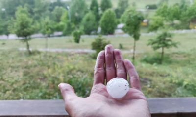 Artvin’in Şavşat ilçesine ceviz büyüklüğünde dolu yağdı
