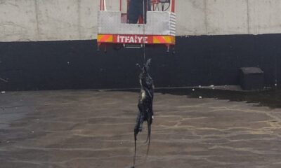 Asfalt hammadde havuzuna düşen keçiyi itfaiye kurtardı