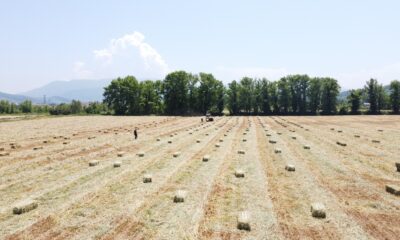 Asgari ücretle çalışırken kendi işlerinin patronu oldular