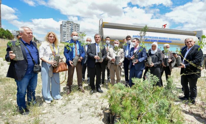 ASKİ’den “Yeşilin Başkenti” projesine 5 bin 145 fidanla destek