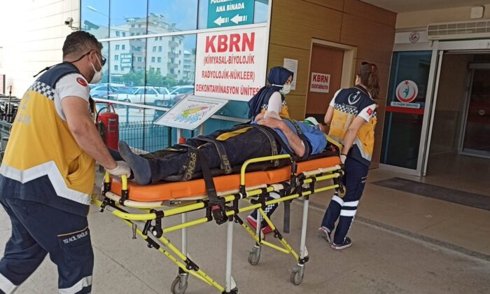 Asma ağacından düşen çiftçi yaralandı