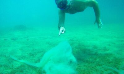 Ata Demirer Kuzey Ege’de ‘salya’ tehlikesine dikkat çekti