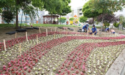 Atakum’un parklarına 30 bin çiçek