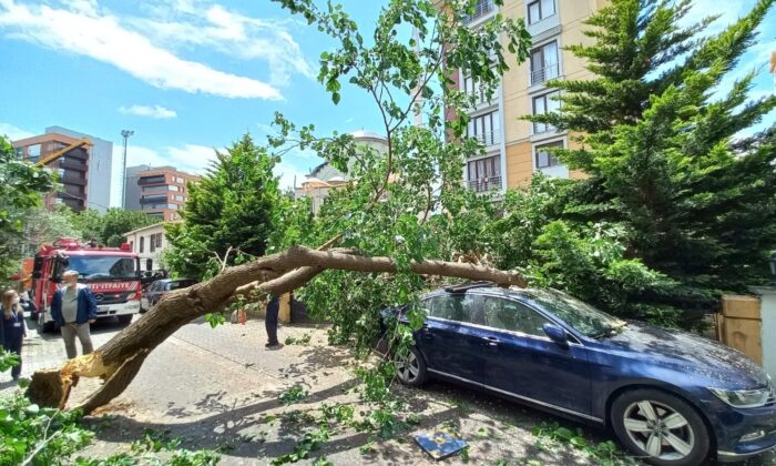 Ataşehir’de çürüyen ağaç arabanın üstüne devrildi