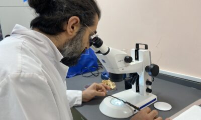 Avrupa’nın gözdesi ‘kara elmas’, Türkiye’de bu yöntemle üretilecek