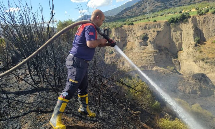 Aydın’da arazi yangını kontrol altına alındı