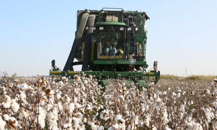 Aydın’da bitkisel üretim destek ödemeleri yarın başlıyor