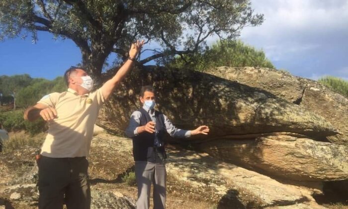 Aydın’da yüzlerce keklik doğaya salındı