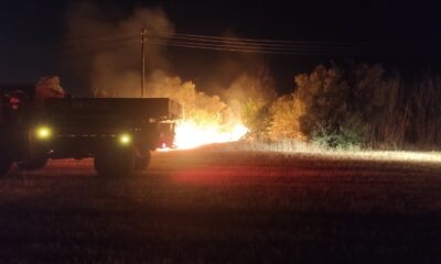 Aydın’da zeytinlik alanda yangın