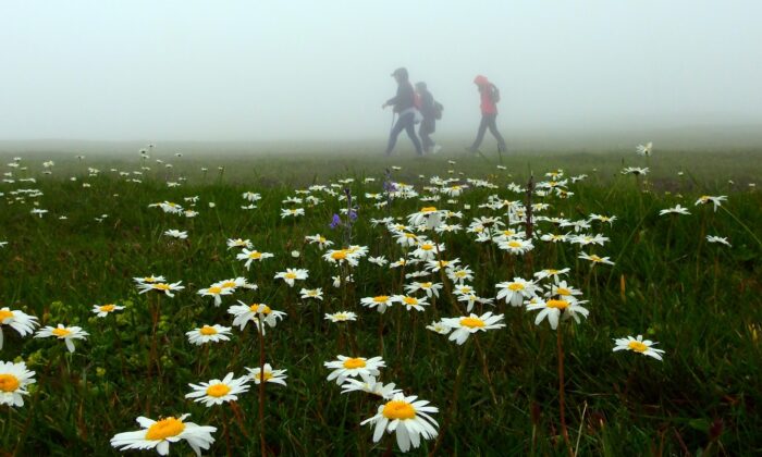Aylar sonra ciğerlerini temiz havayla doldurdular