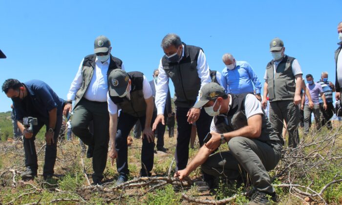 Ayvalık’a yeni orman