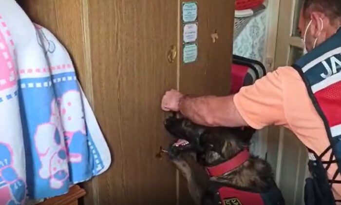 Bağ evinde 10 kilo 880 gram esrar ele geçirildi