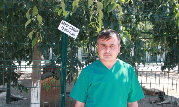 Bahçe ve balkonlarda uzun süre ağzı açık bırakılan su birikintilerinde sivrisinek riski