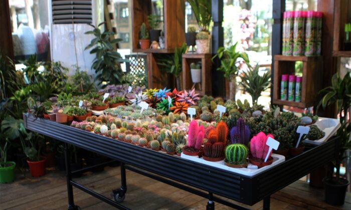 Bahçem satış merkezinin açılışı yapılıyor