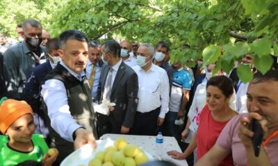 Bakan Pakdemirli, Iğdır’da kayısı hasadına katıldı