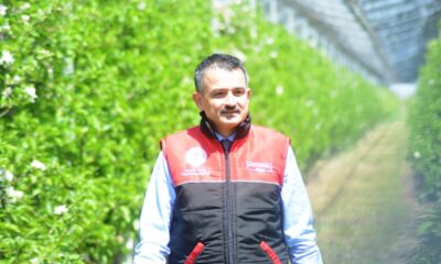 Bakan Pakdemirli’den Aydın’a müjde