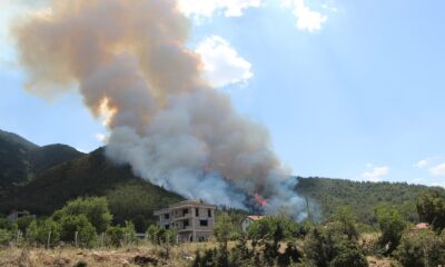 Bakan Pakdemirli’den Denizli’deki orman yangınıyla ilgili açıklama
